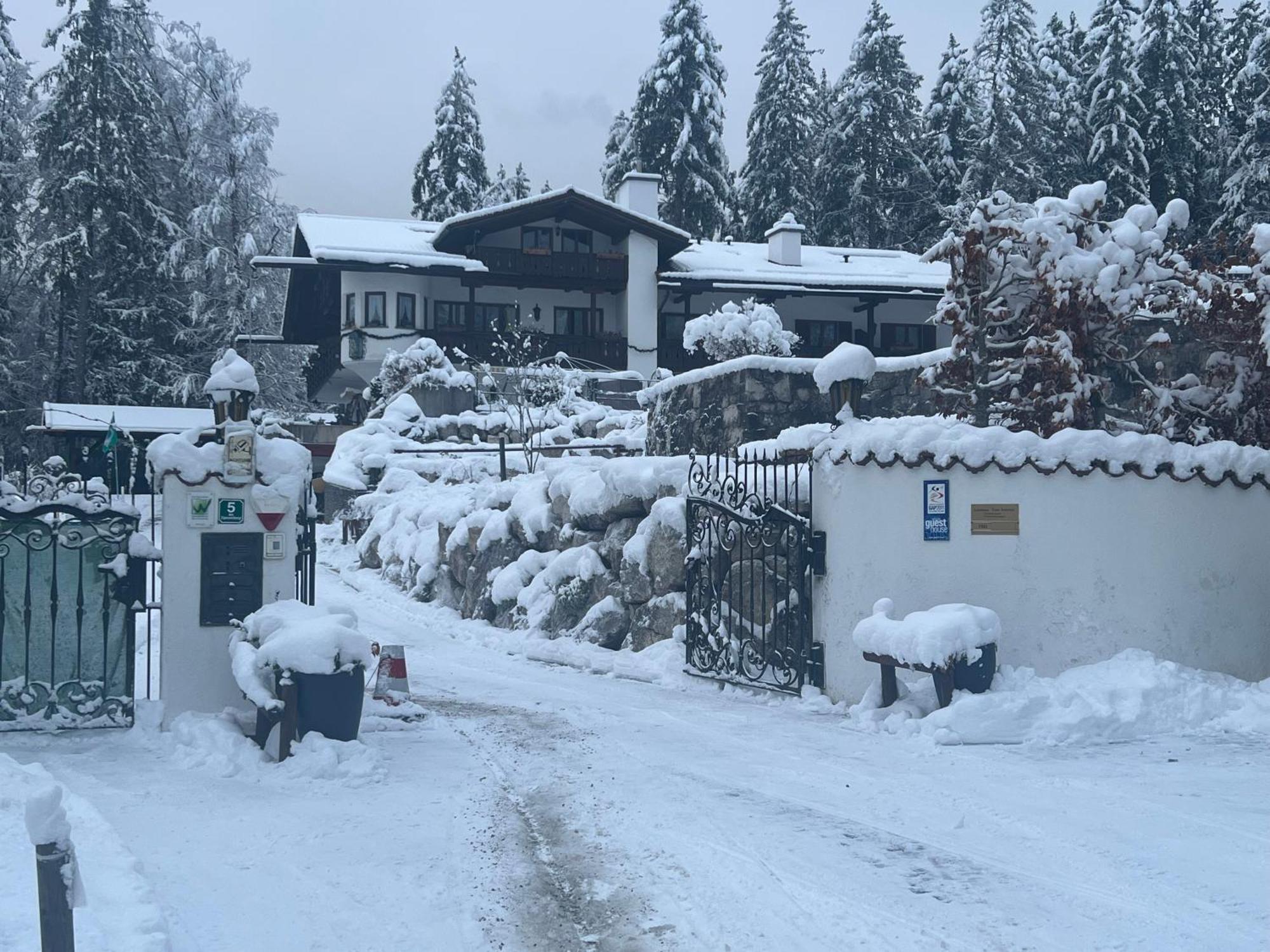 Alpenchalet Zum Jeremia 그라이나우 외부 사진